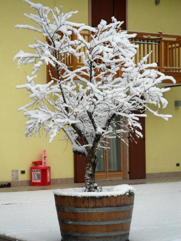 Vila Agritur Ai Masi Pergolese Exteriér fotografie